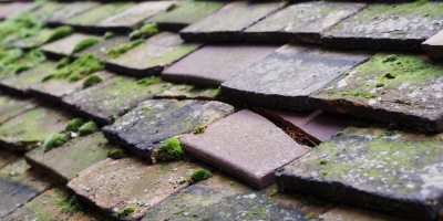 Stoke Bliss roof repair costs